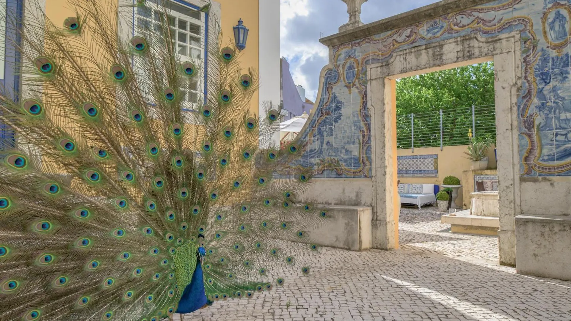 فندق سولار دو كاستيلو Lisboa